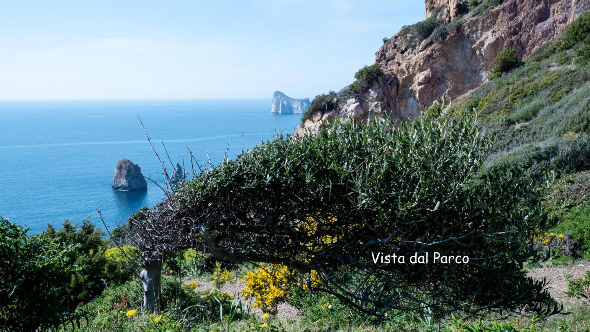 Il Dolce Risveglio Tanca Piras Nebida Exterior foto